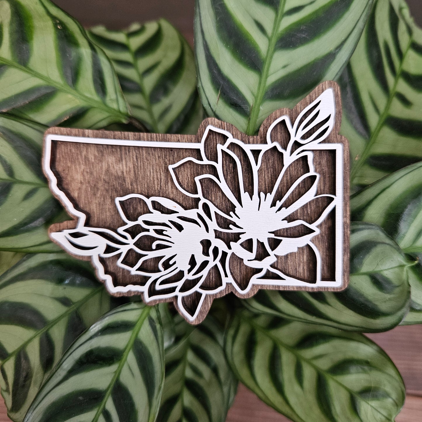Montana State Flower Magnet