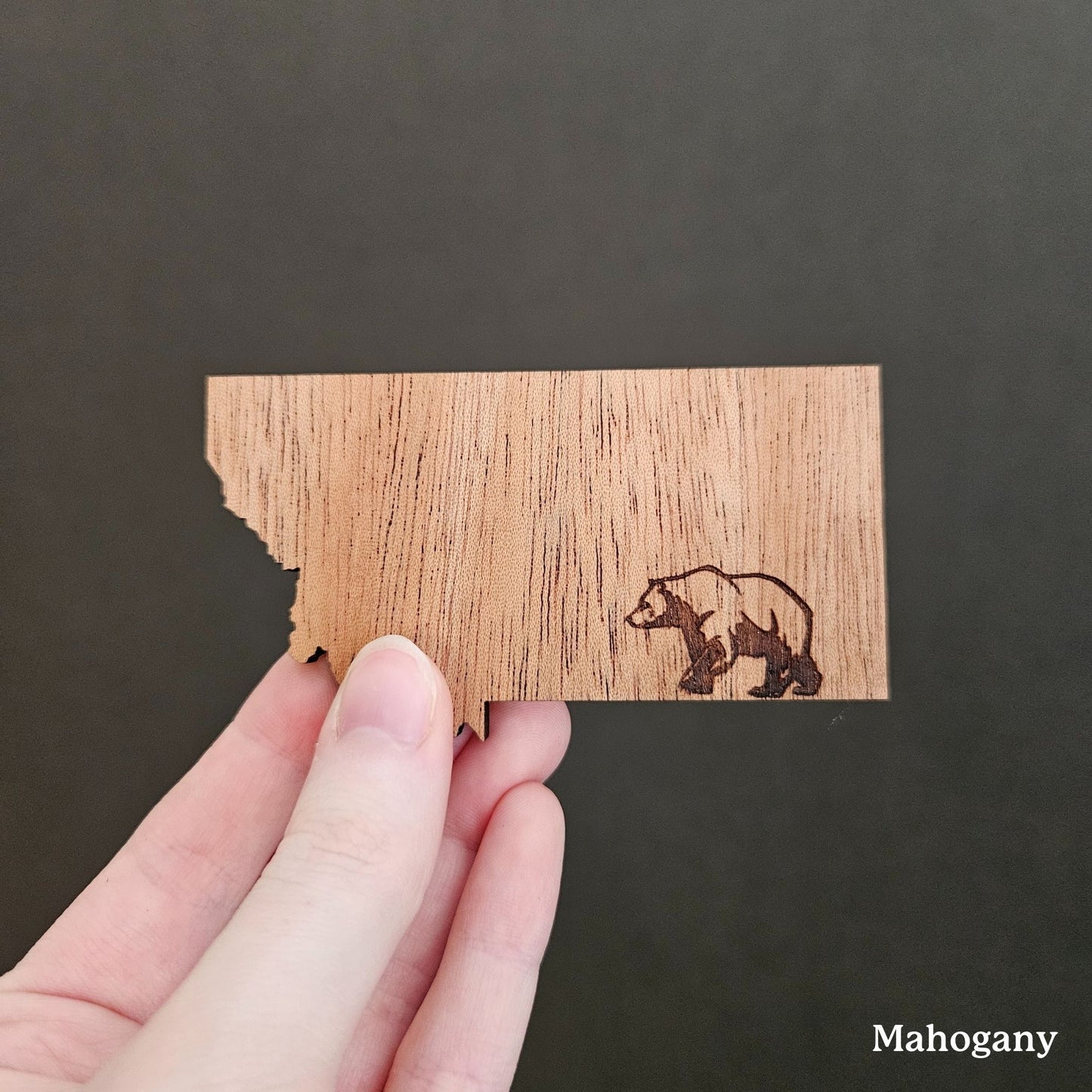 Montana Bear Magnet