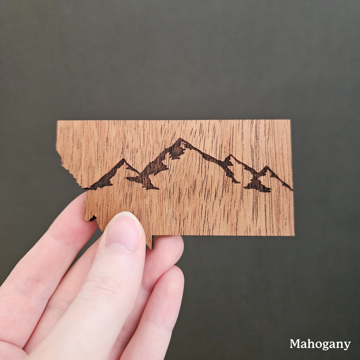 Montana Mountains Magnet