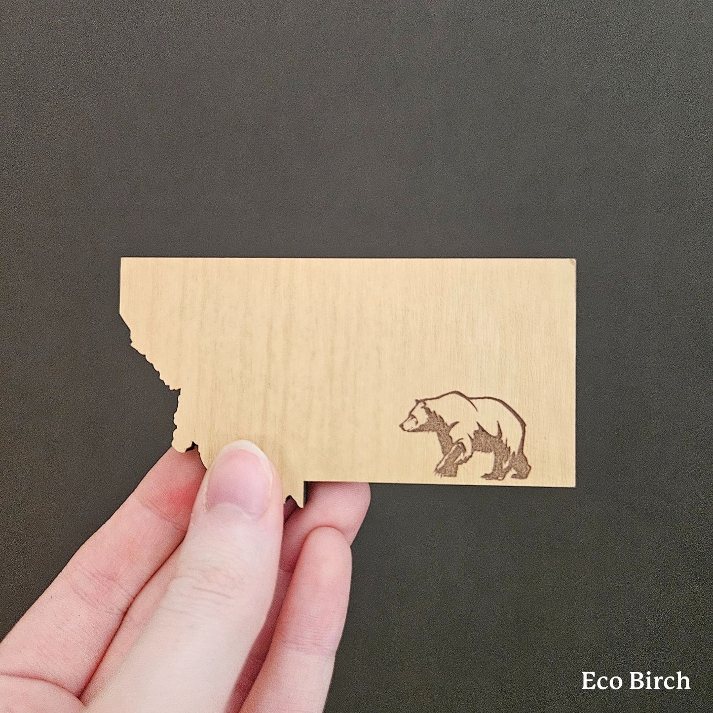 Montana Bear Magnet