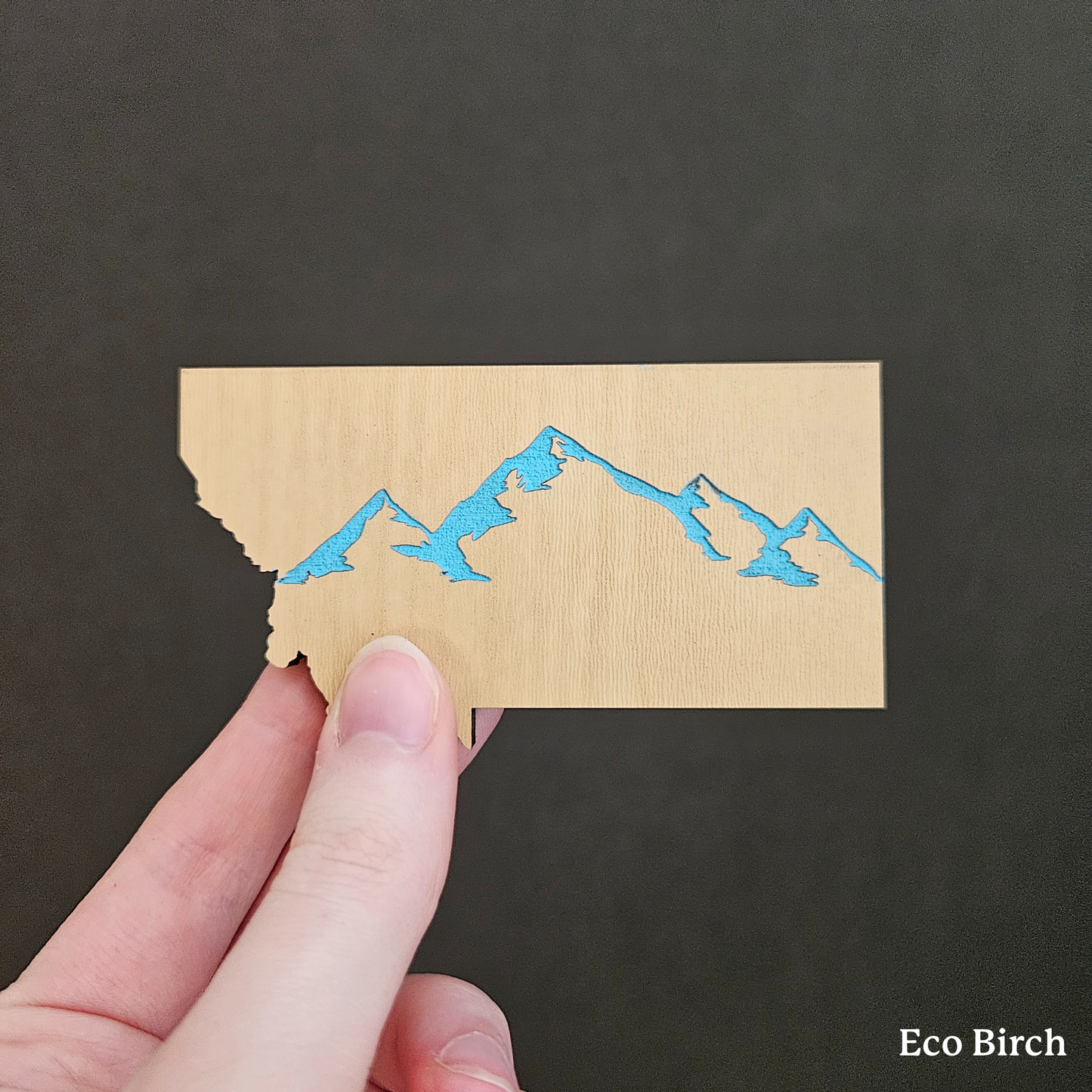 Montana Mountains Magnet