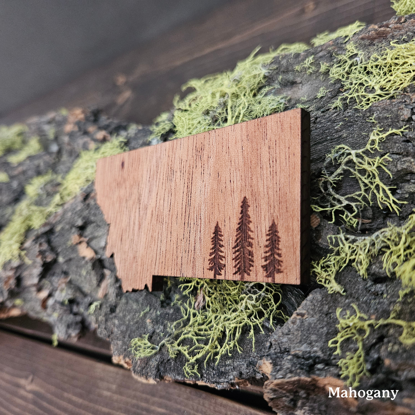 Montana Pine Trees Magnet