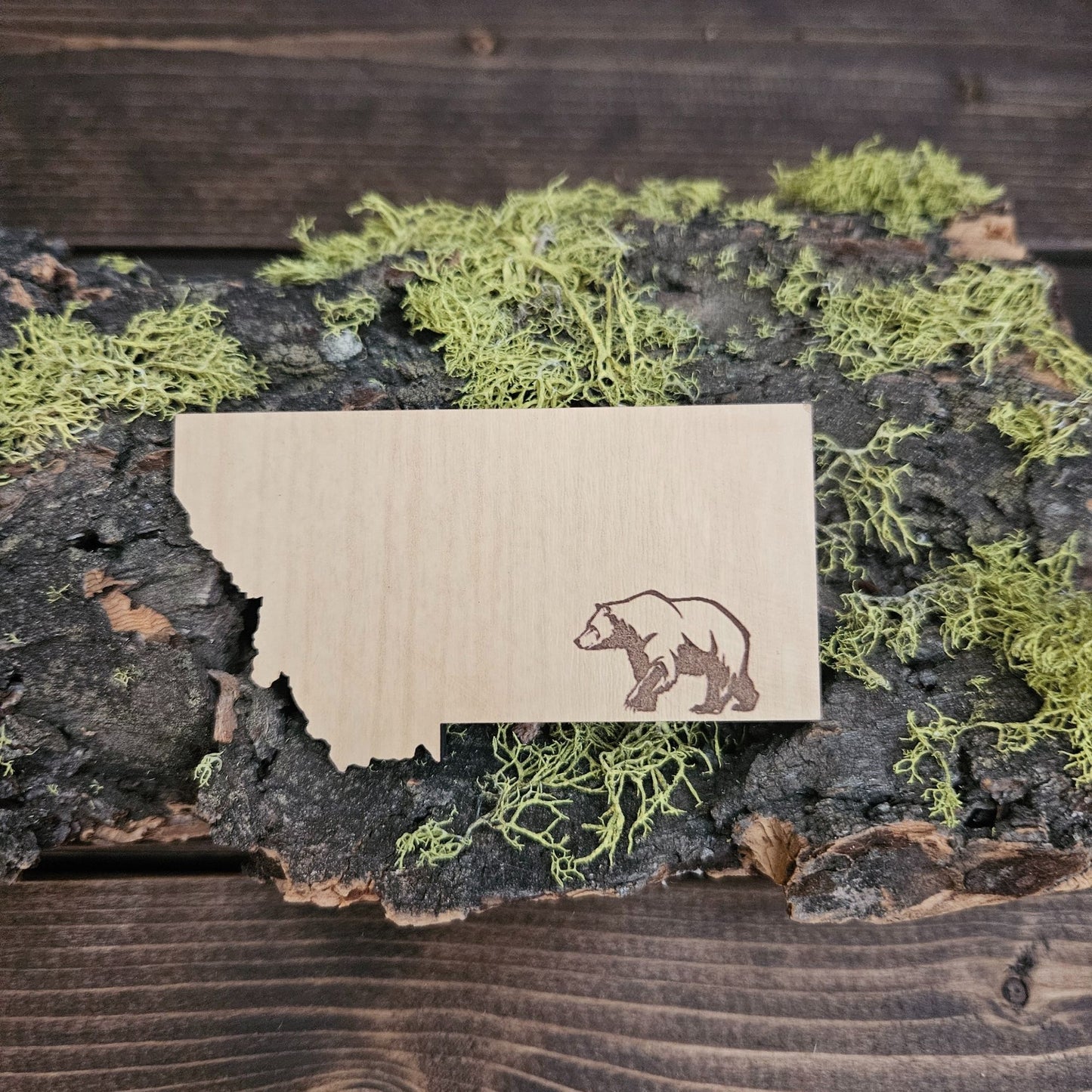 Montana Bear Magnet