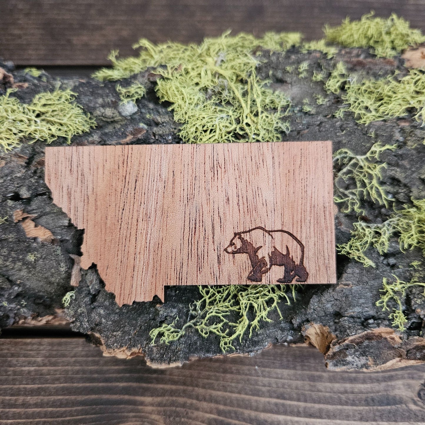 Montana Bear Magnet