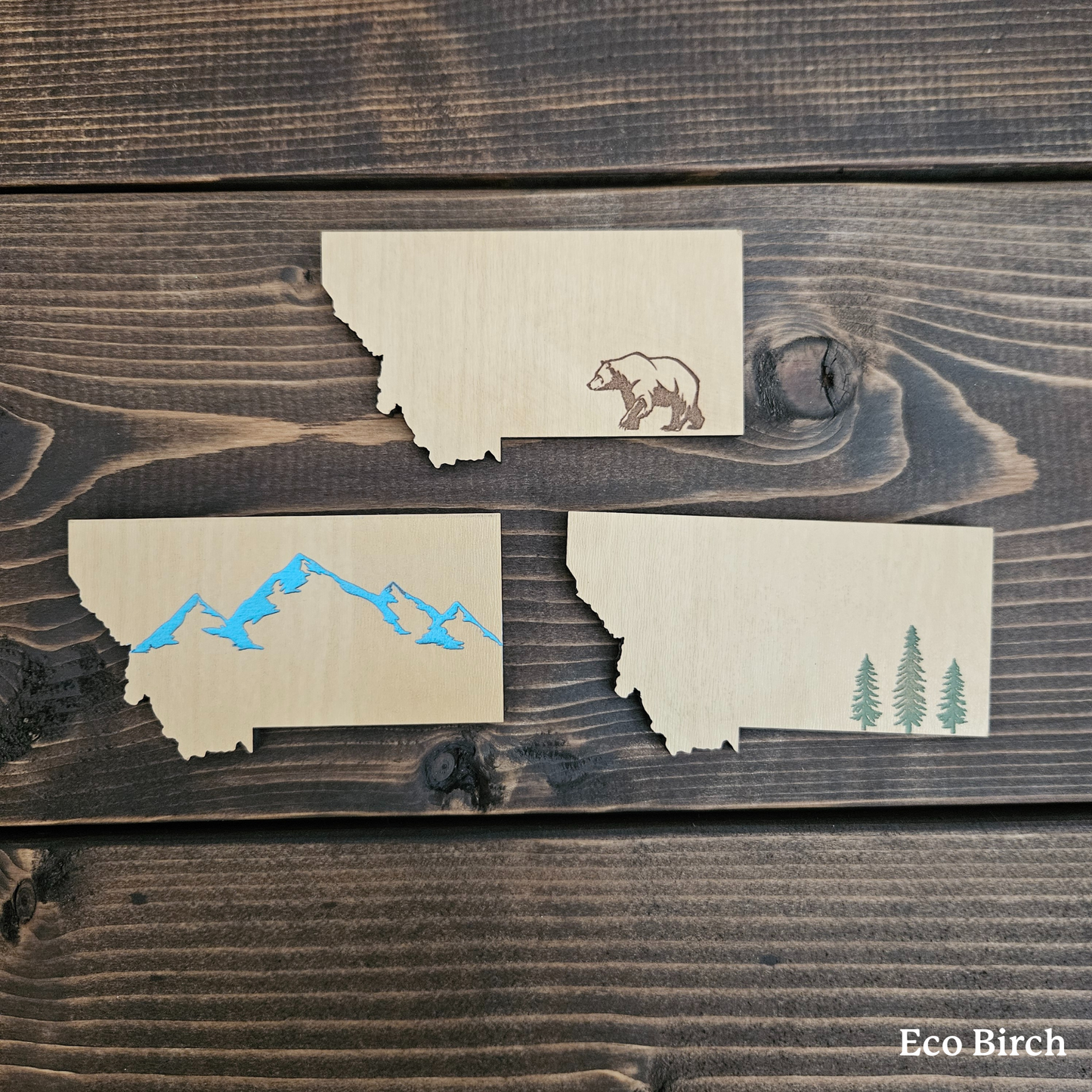 Montana Mountains Magnet