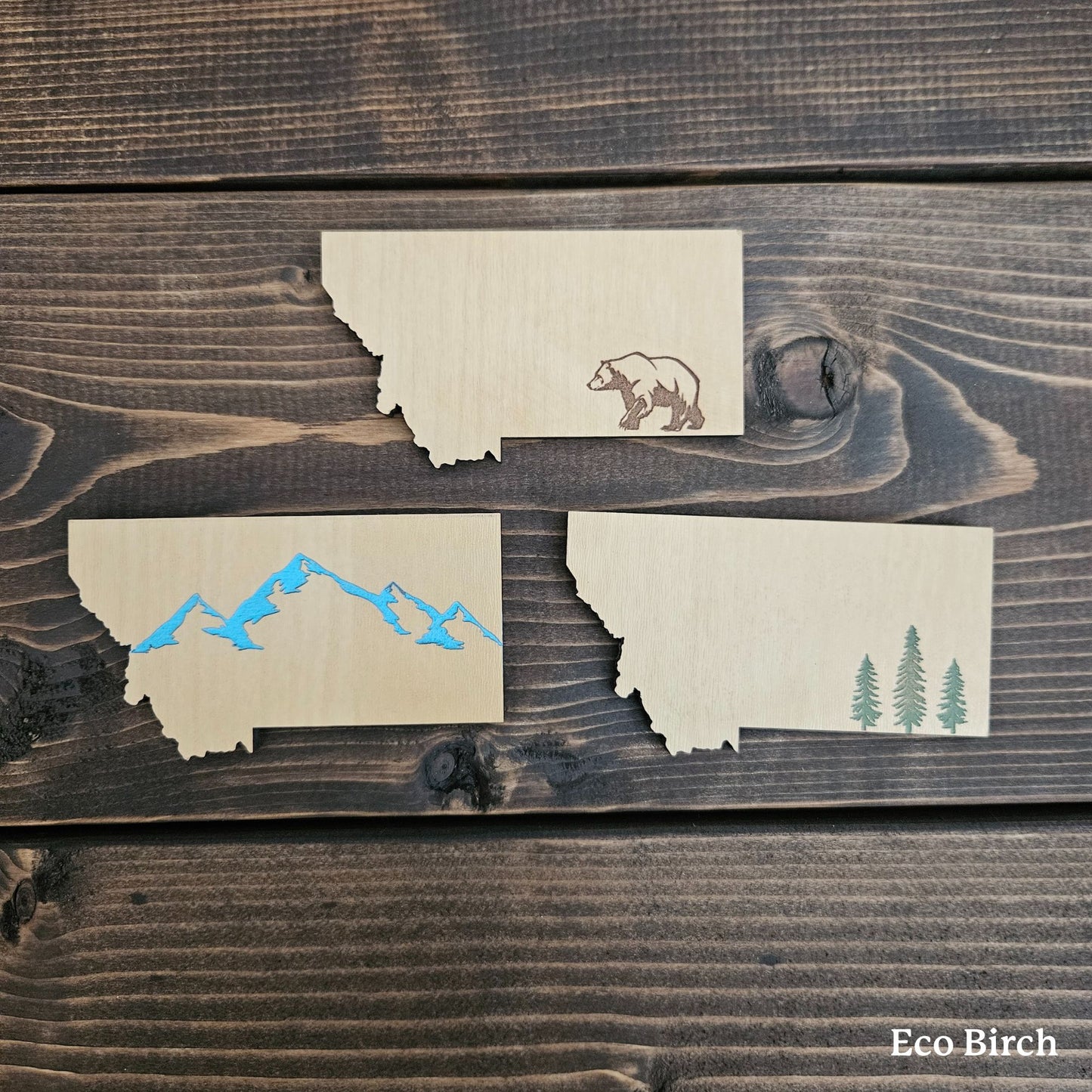 Montana Bear Magnet