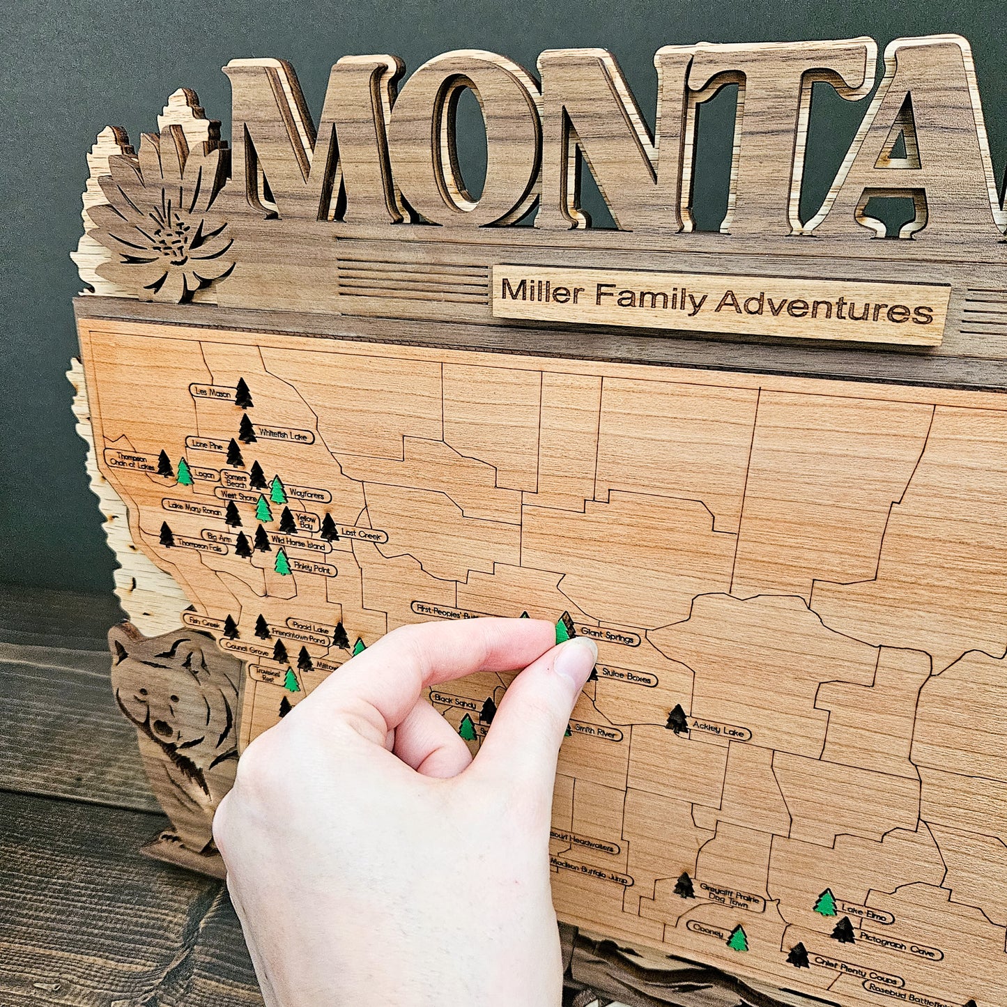 Montana State Park Travel Tracking Map