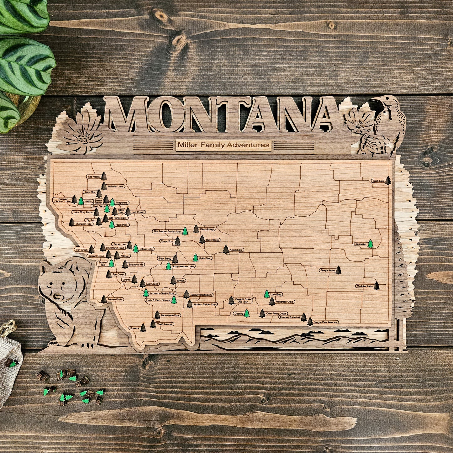 Montana State Park Travel Tracking Map