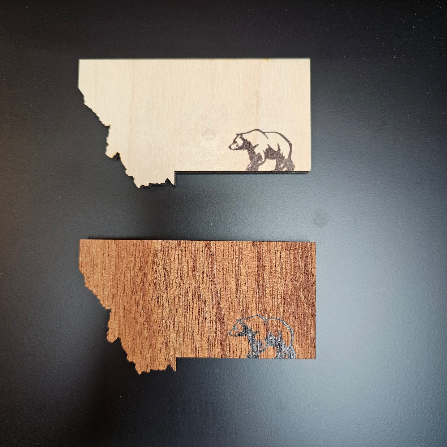 Montana Mountains Magnet