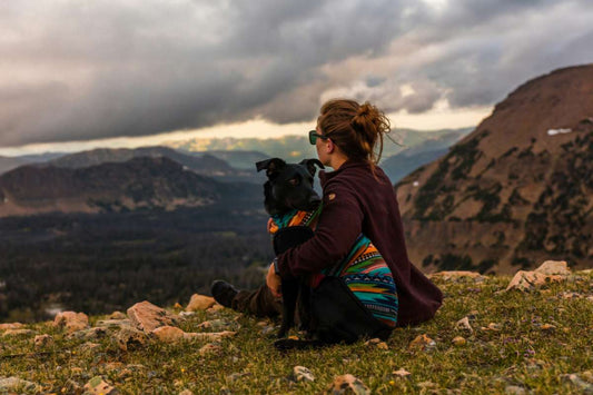 A Dog Lover's Guide to 13 of the Most Pet Friendly National Parks
