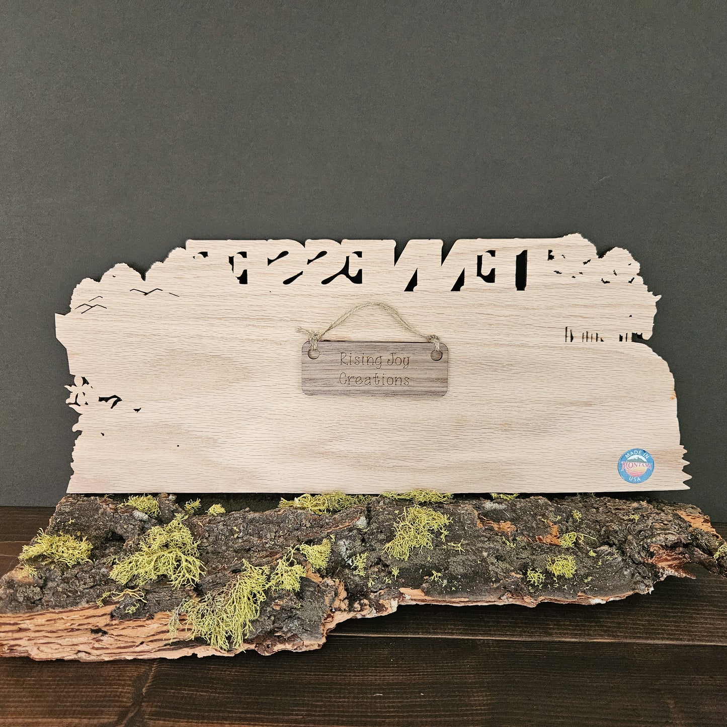 Tennessee State Park Travel Tracking Map