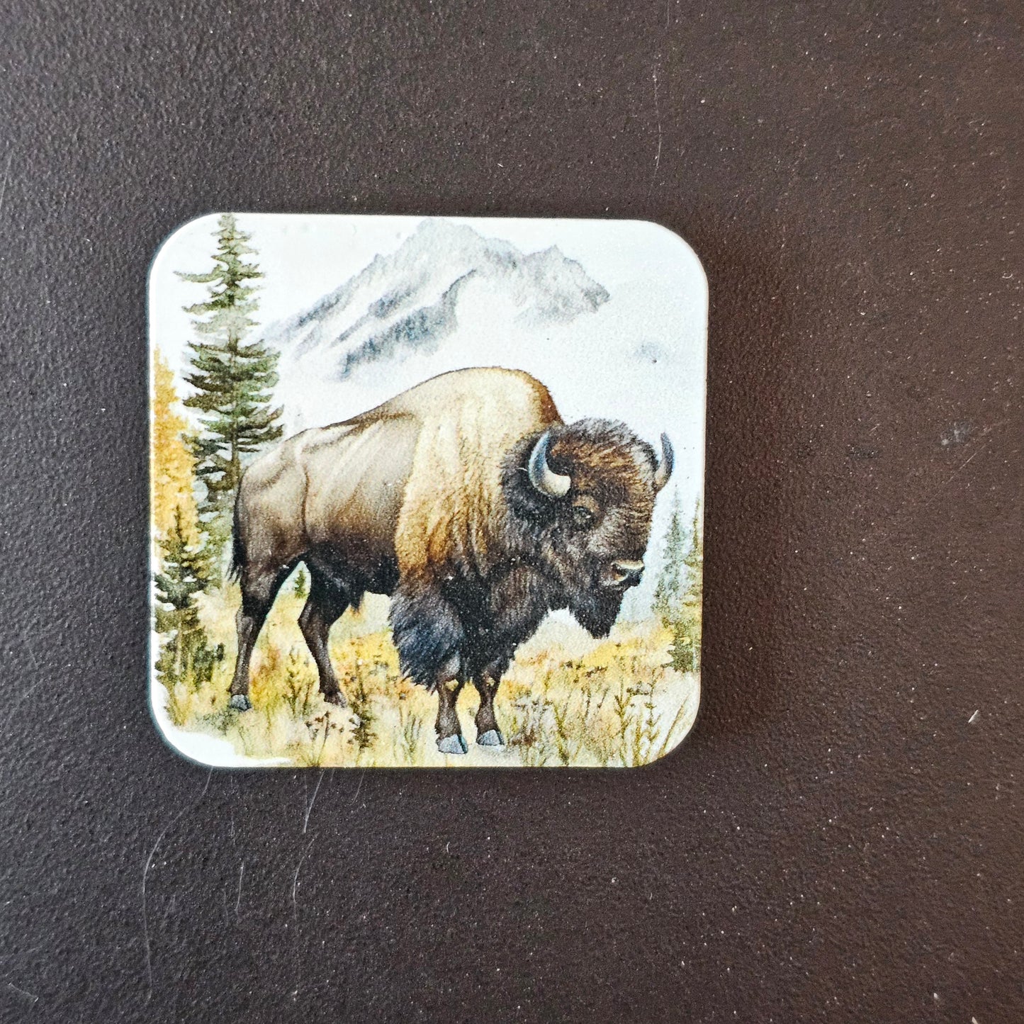 Square Wildlife Magnets