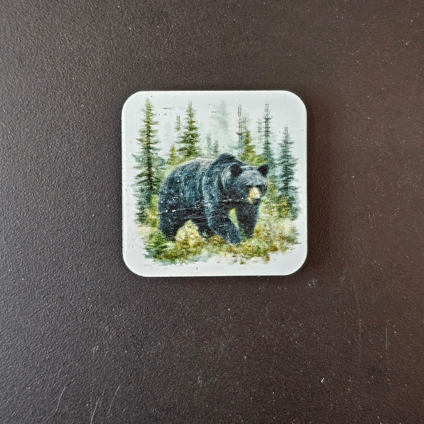Square Wildlife Magnets