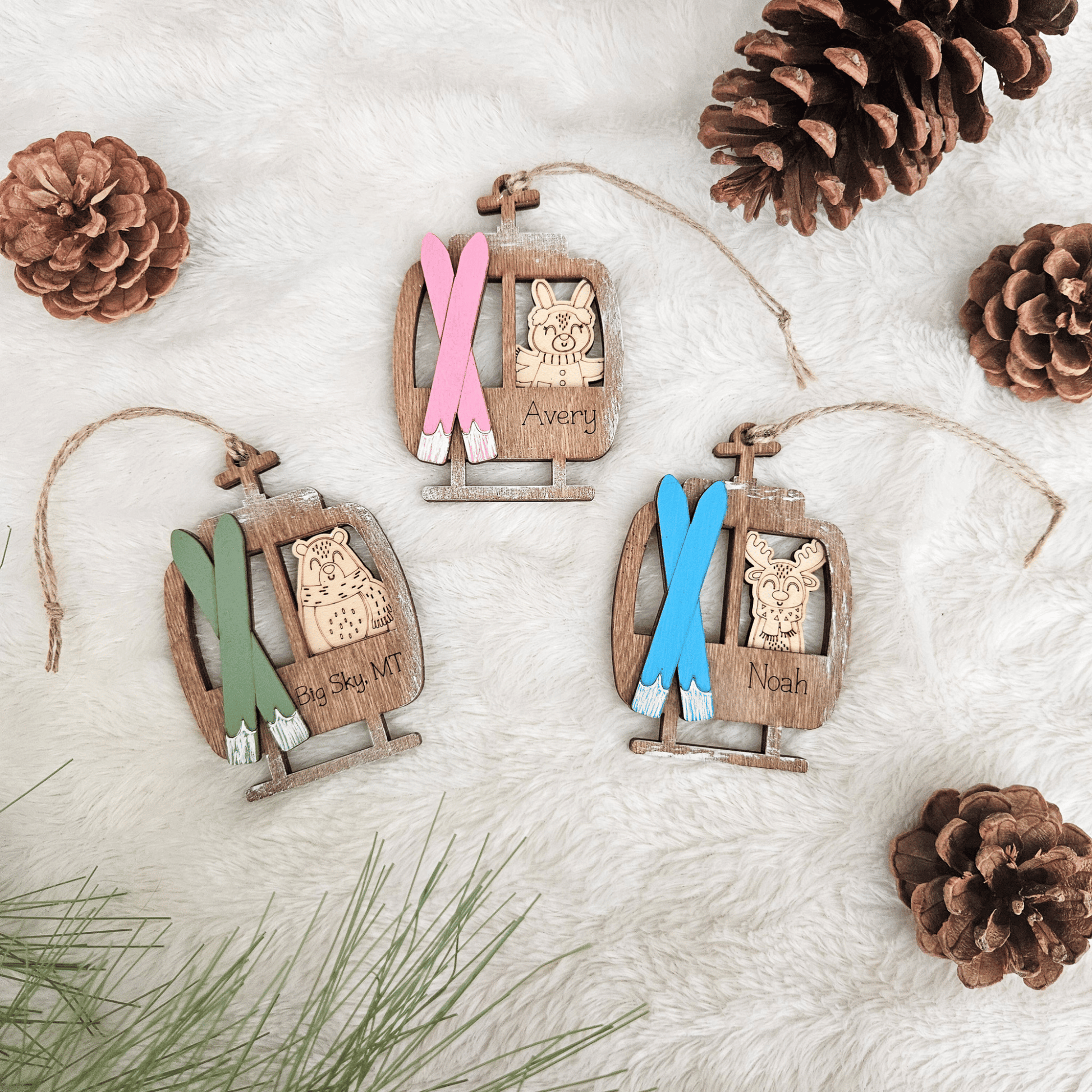 Wooden ornaments with skis and names on a white surface with pinecones and branches.