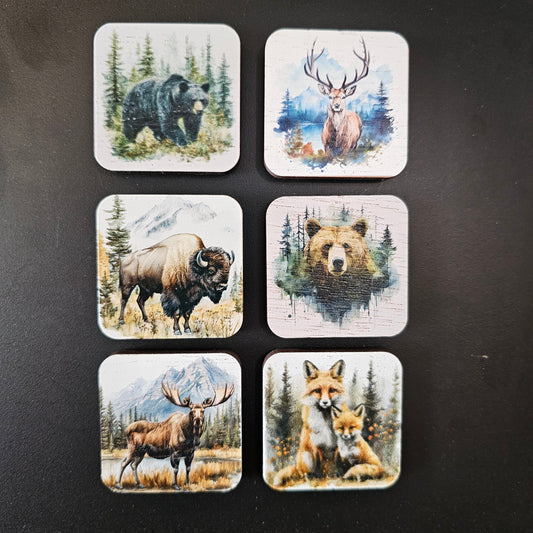 Square Wildlife Magnets