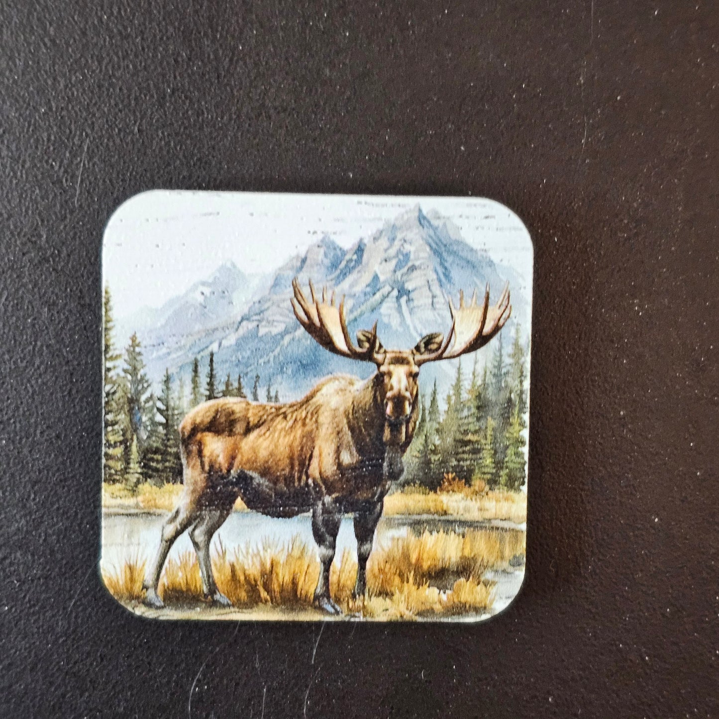 Square Wildlife Magnets