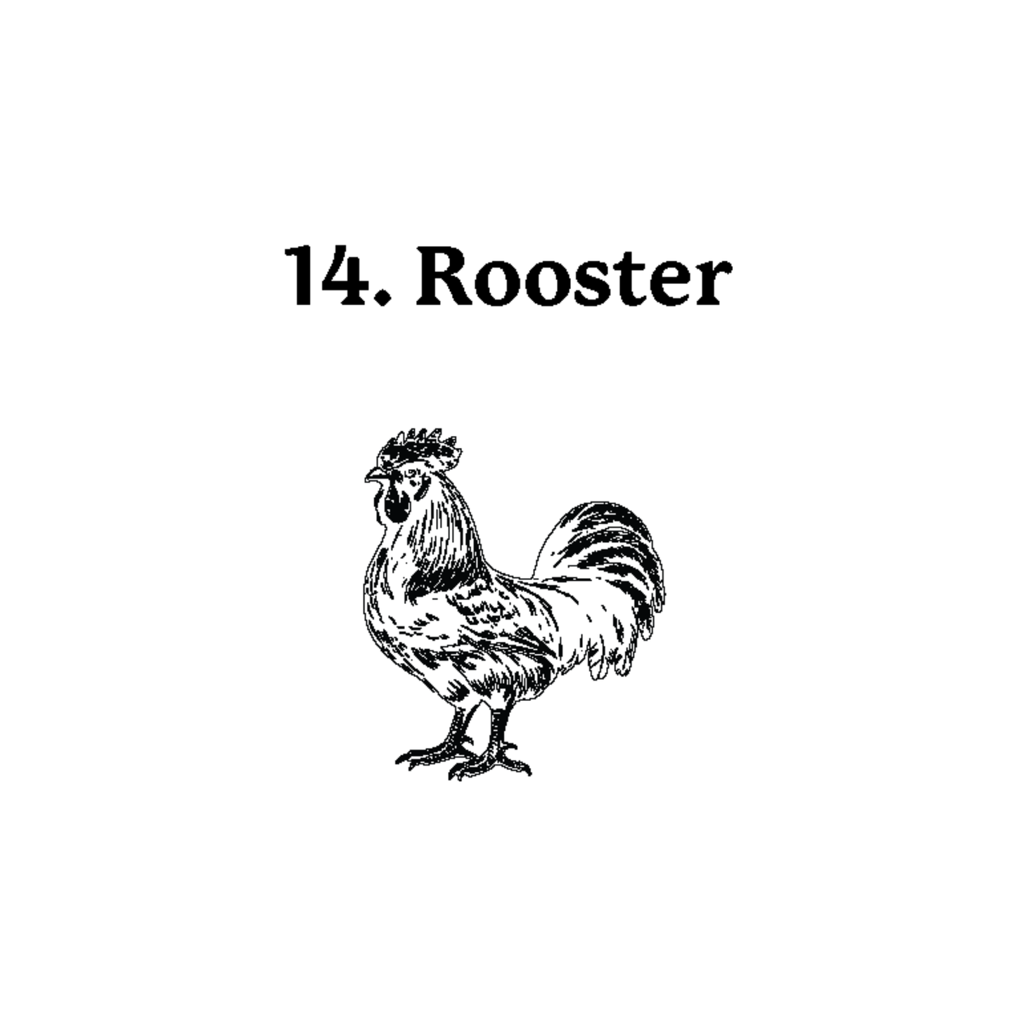 Personalized Oil Slick Knife